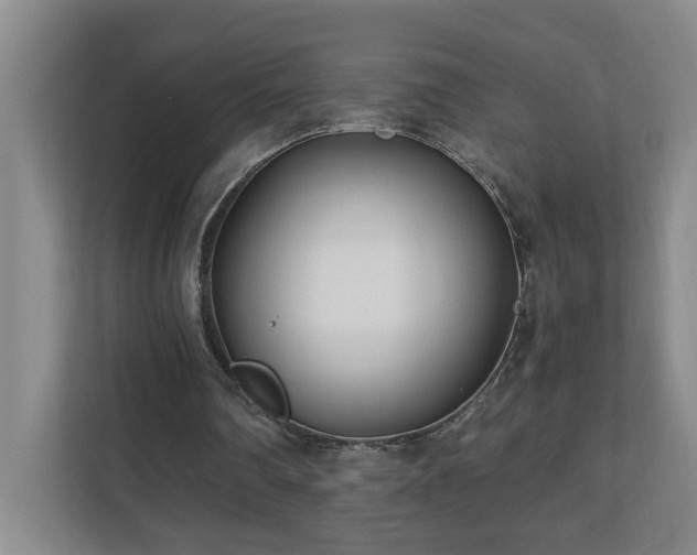 X0000110770290200906151331