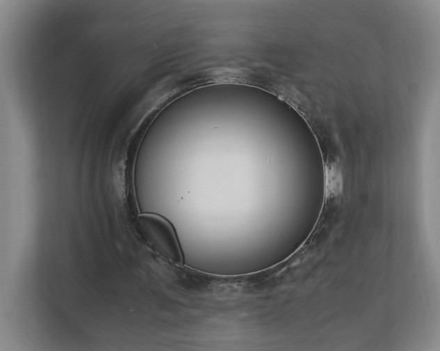 X0000110770291200906151331