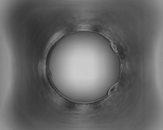 X0000110770293200906151331