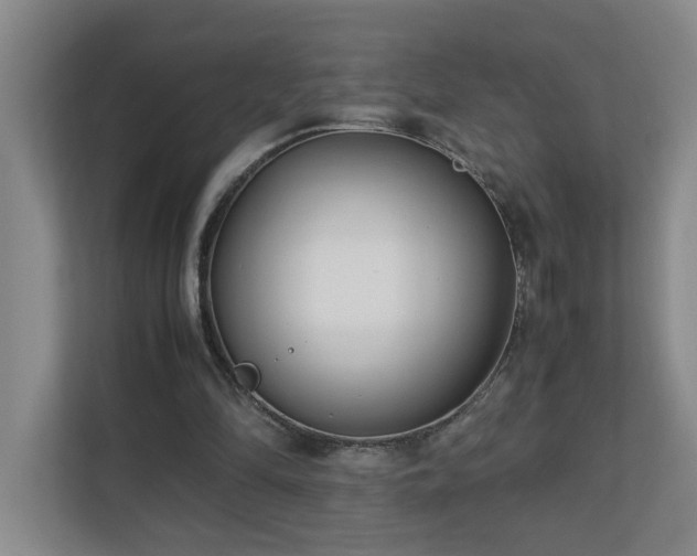 X0000110770294200906151331