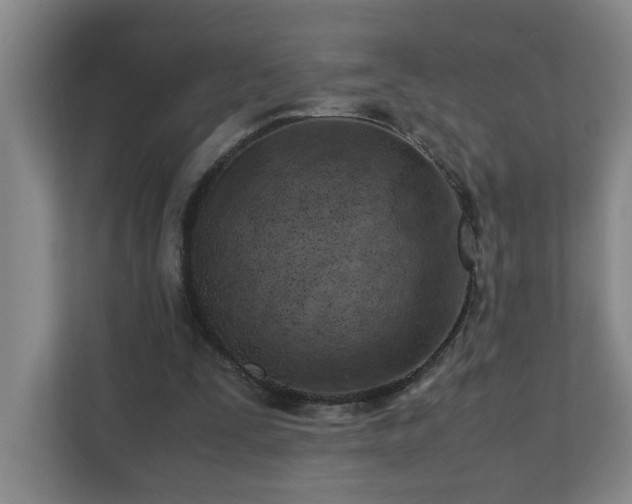 X0000110770295200906151331