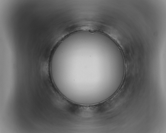 X0000110770297200906151331