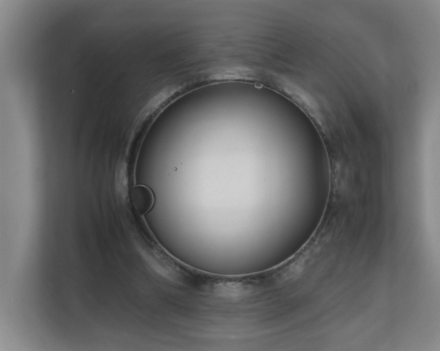 X0000110770298200906151331