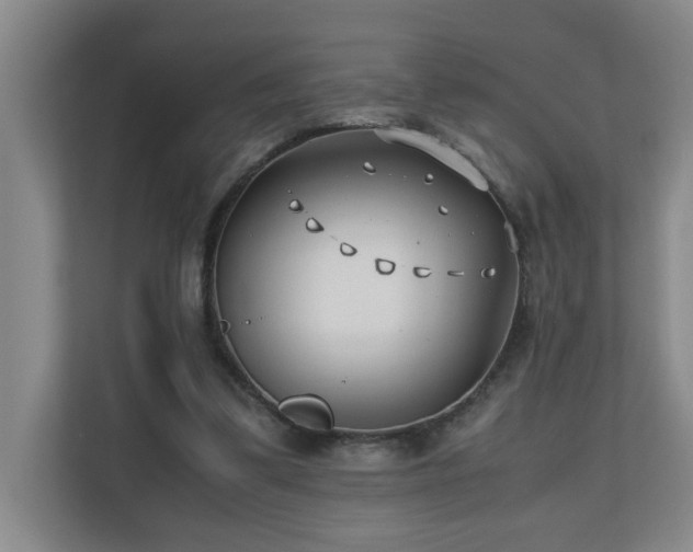 X0000110770299200906151331