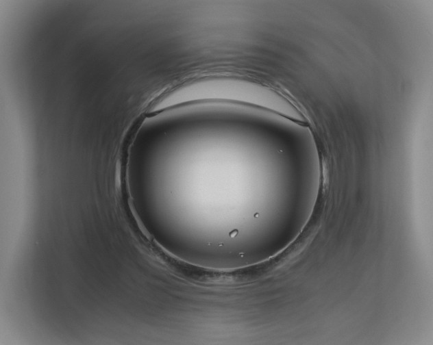 X0000110770301200906151331