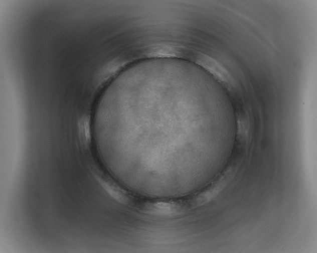 X0000110770302200906151331