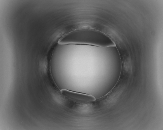 X0000110770304200906151331