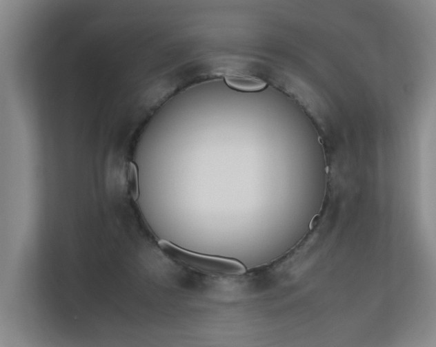 X0000110770305200906151331