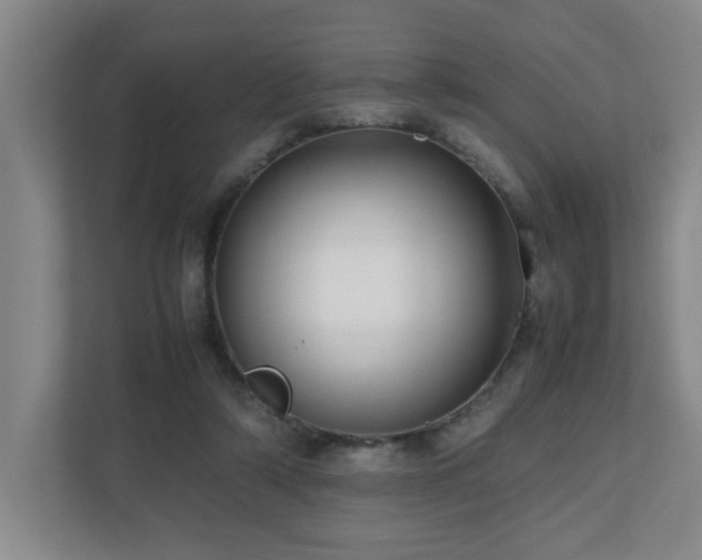 X0000110770306200906151331