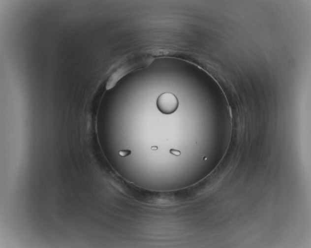 X0000110770308200906151331