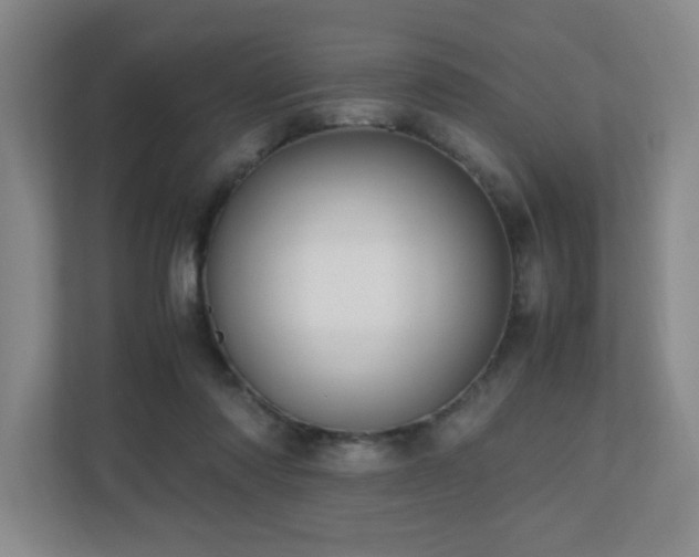 X0000110770310200906151331