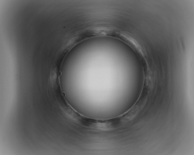 X0000110770314200906151331