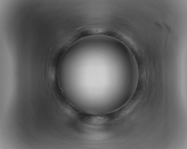 X0000110770315200906151331