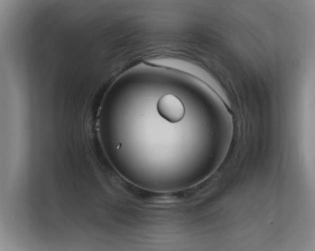 X0000110770316200906151331