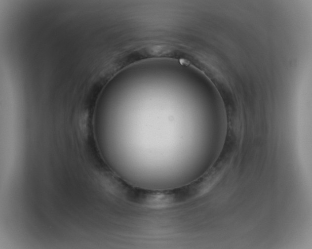 X0000110770319200906151331