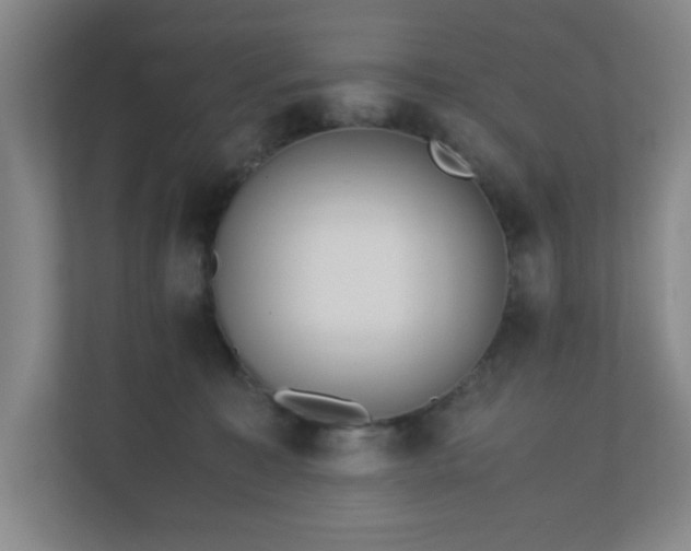 X0000110770323200906151331