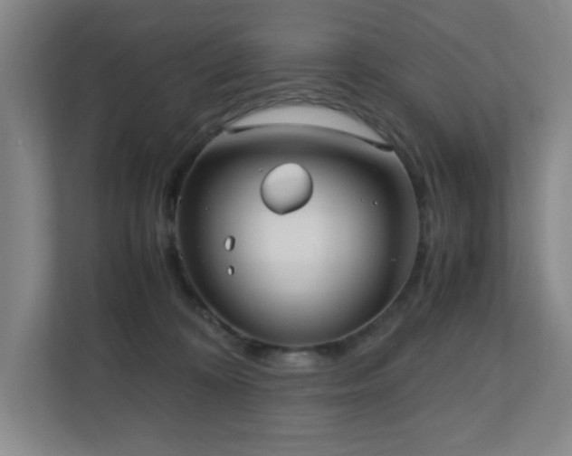 X0000110770324200906151331