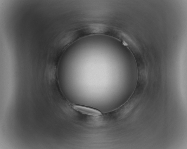 X0000110770325200906151331