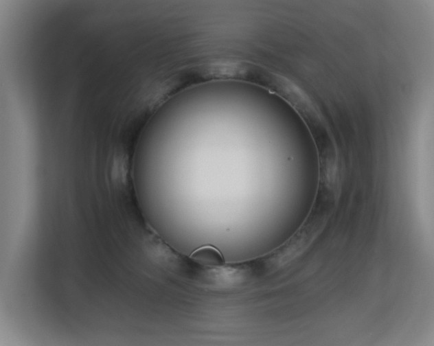 X0000110770326200906151331