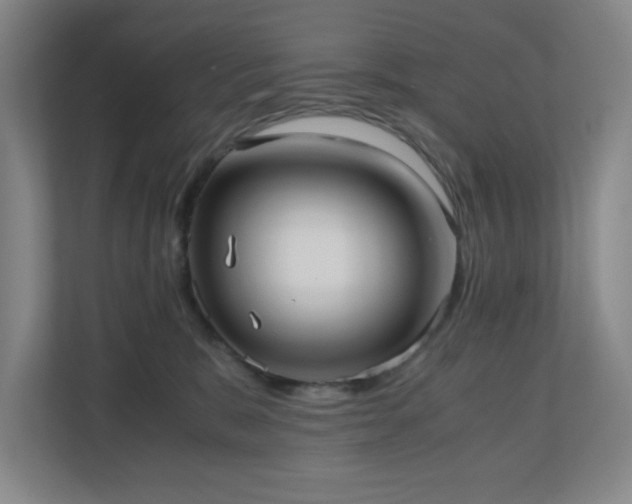 X0000110770327200906151331