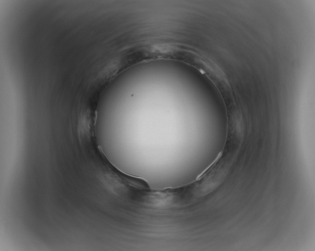 X0000110770328200906151331