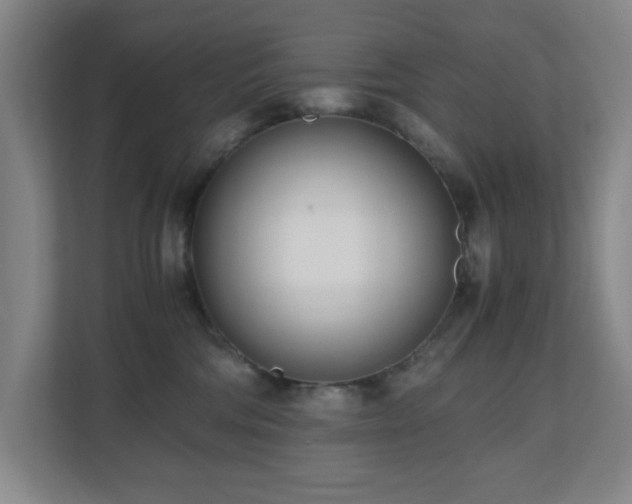 X0000110770330200906151331