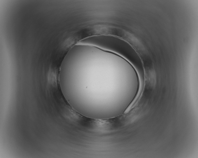 X0000110770333200906151331