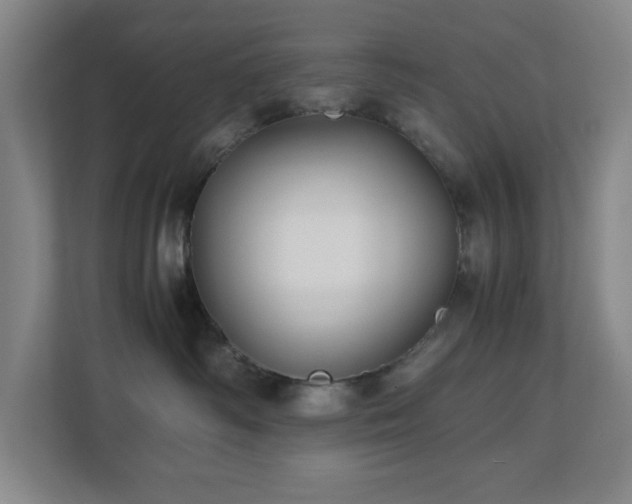 X0000110770334200906151331