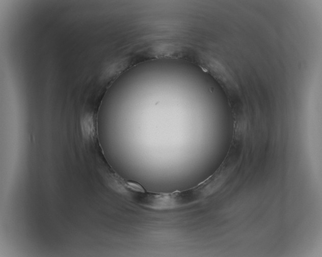 X0000110770335200906151331