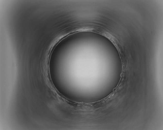 X0000110770337200906151330