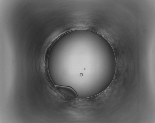 X0000110770338200906151330