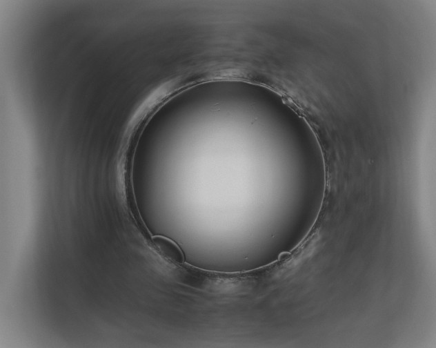 X0000110770341200906151330