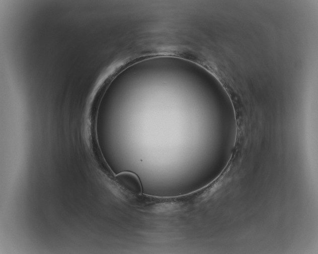 X0000110770342200906151330