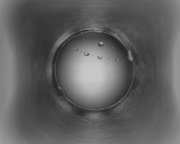 X0000110770344200906151330