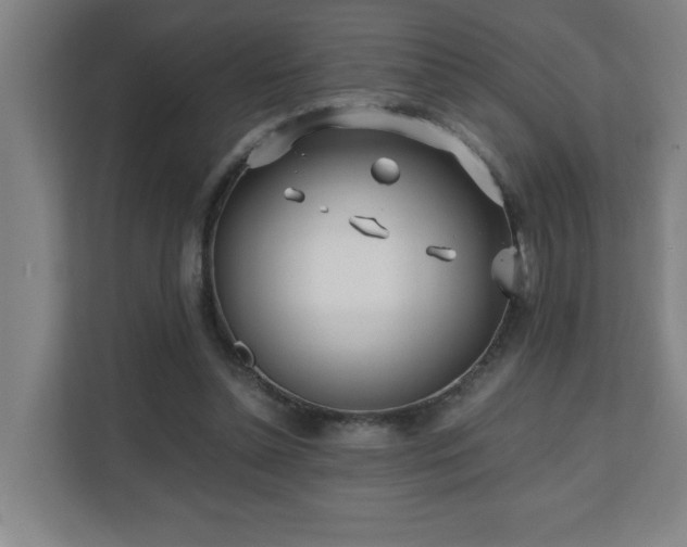 X0000110770348200906151330