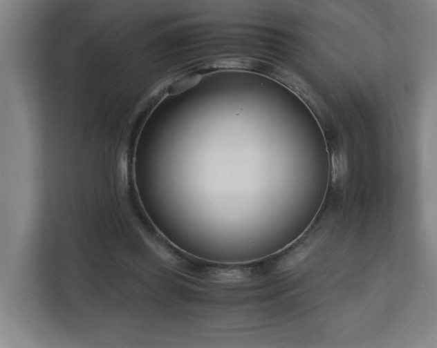 X0000110770349200906151330