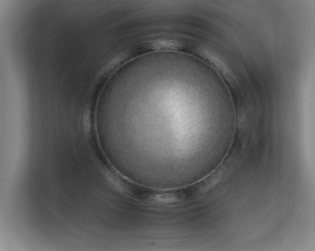 X0000110770353200906151330