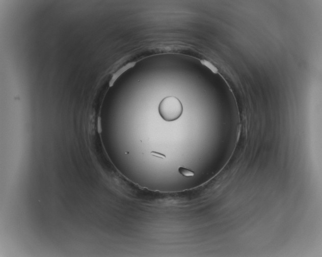 X0000110770356200906151330