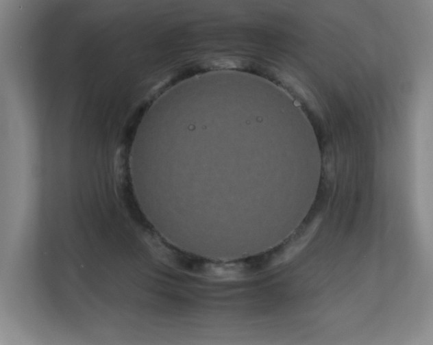 X0000110770359200906151330