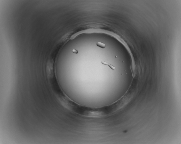 X0000110770360200906151330