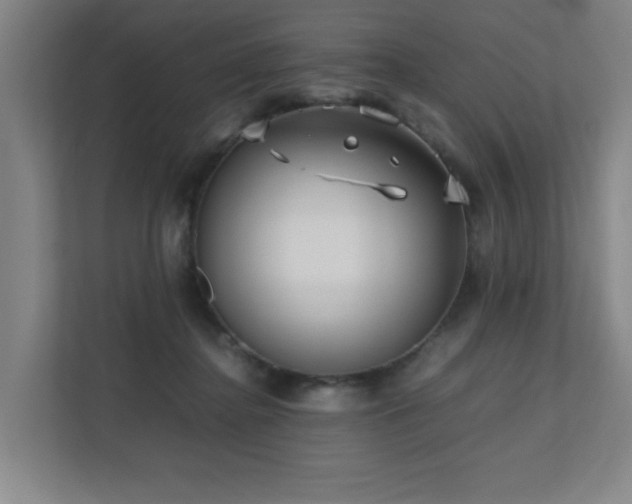 X0000110770364200906151330