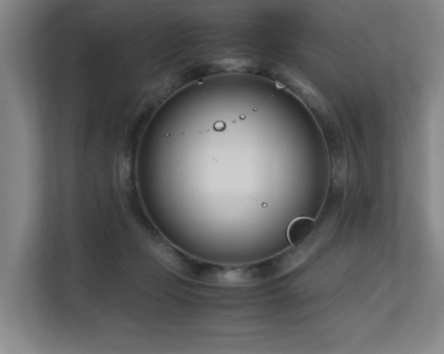 X0000110770365200906151330