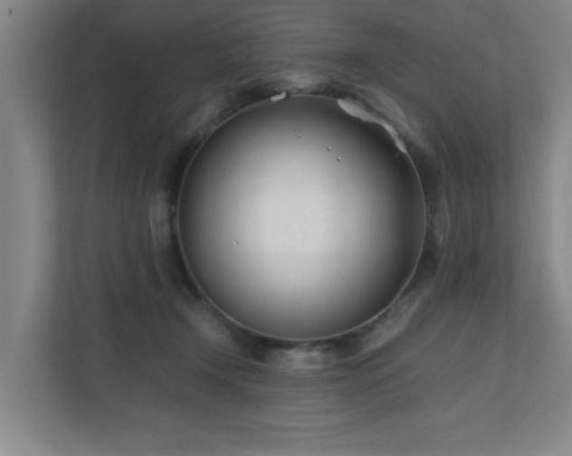 X0000110770366200906151330