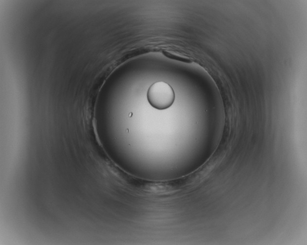 X0000110770372200906151330