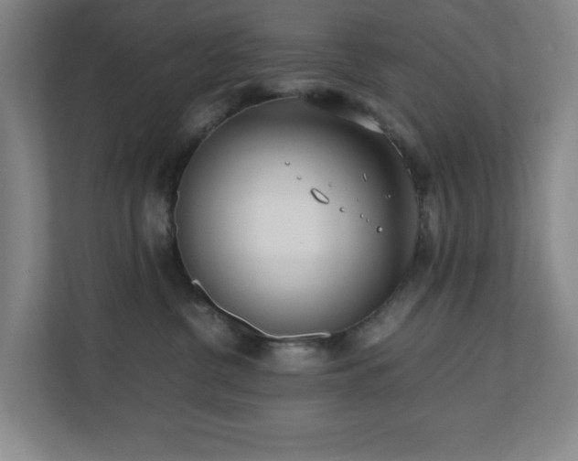 X0000110770380200906151330