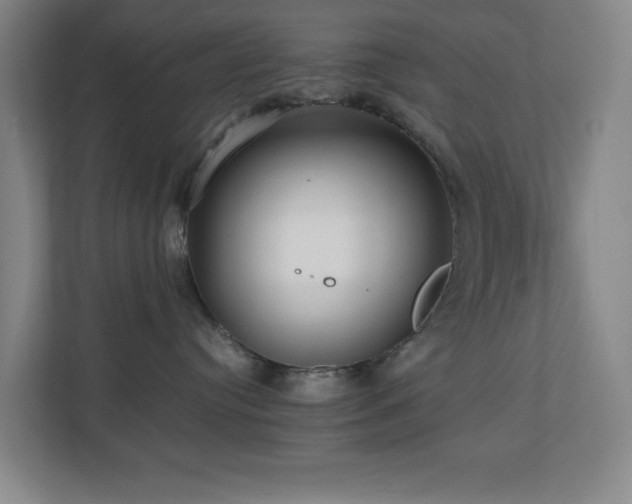 X0000110770384200906151331