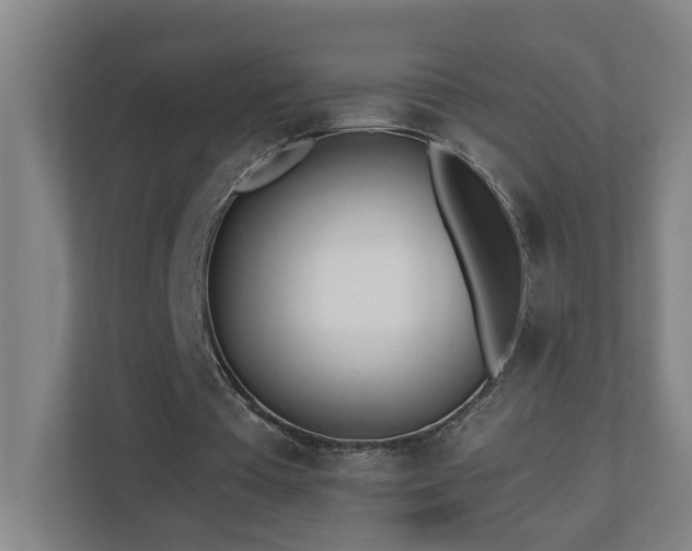 X0000110770385200906151330