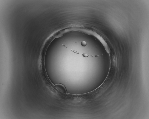 X0000110770388200906151330