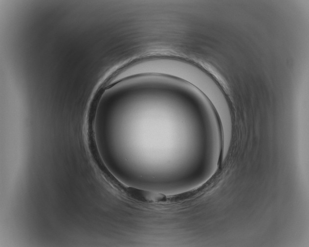 X0000110770391200906151330