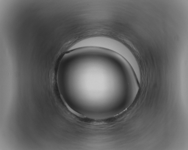 X0000110770403200906151330